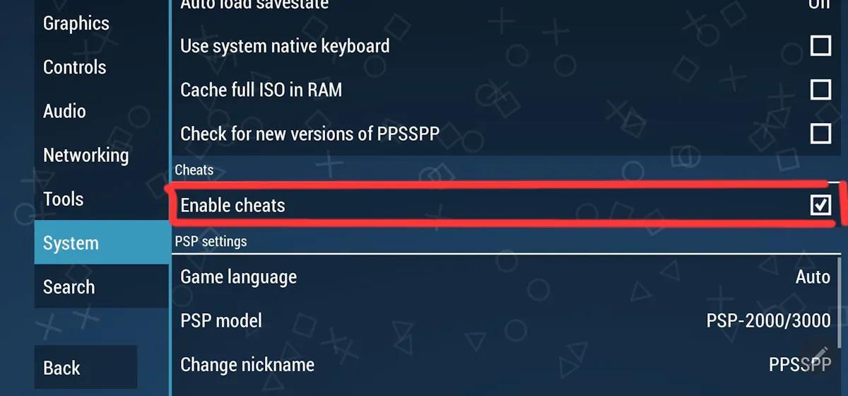 enable cheat option